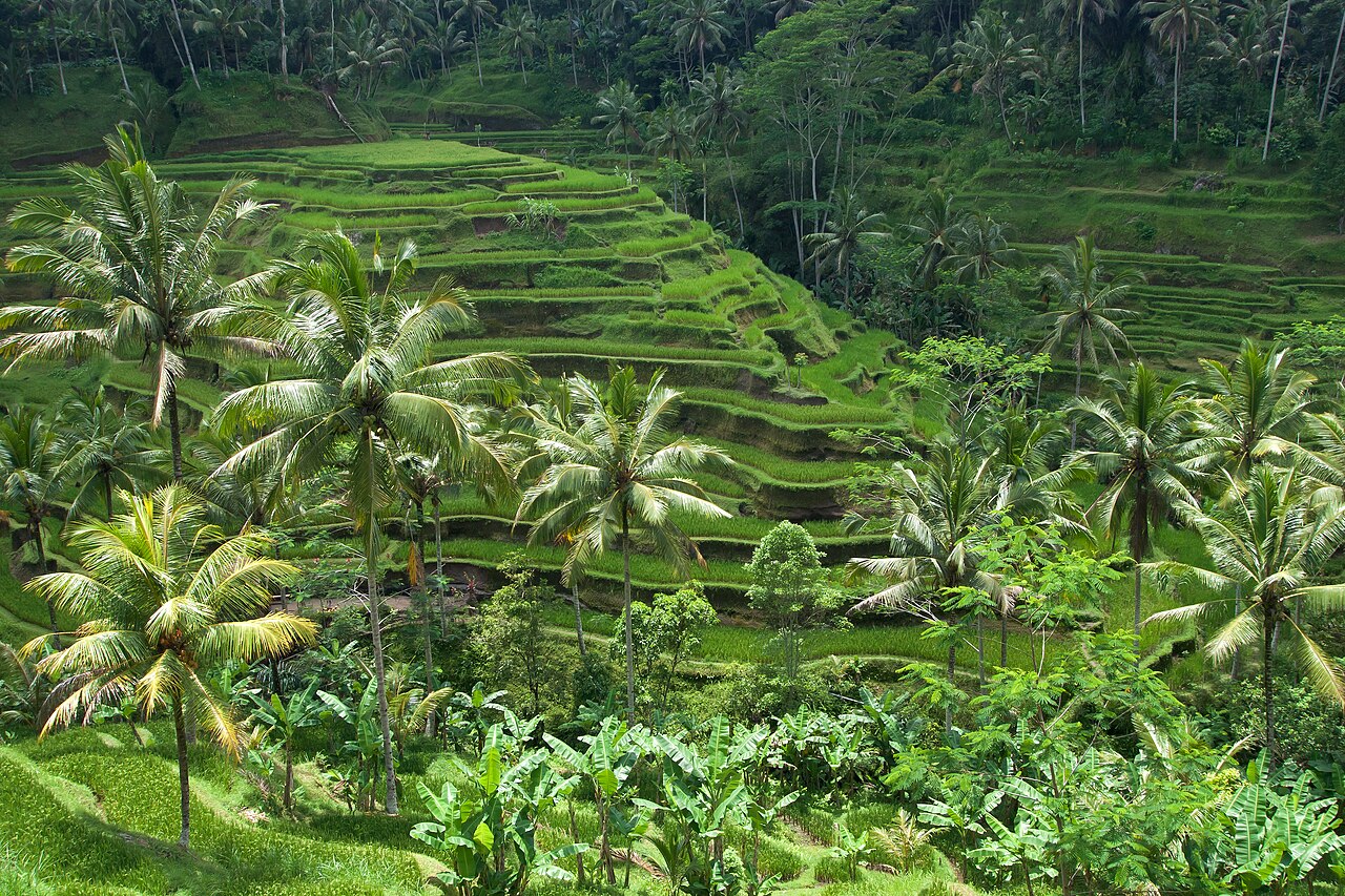 Bali Hotels & Villas from Under S$30/Night on Klook — Clear-Air Island Escape